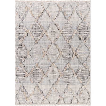 Livabliss Zaragoza ZRZ-2311 Area Rug , With Fringe ZRZ2311-71010